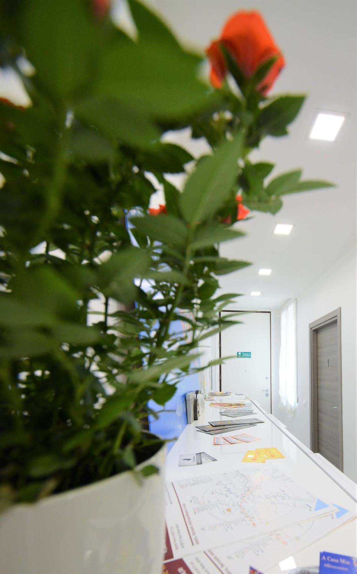 Affittacamere A Casa Mia Roma Ngoại thất bức ảnh